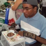 Assinando com adaptação